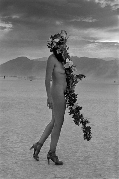 Flores al viento