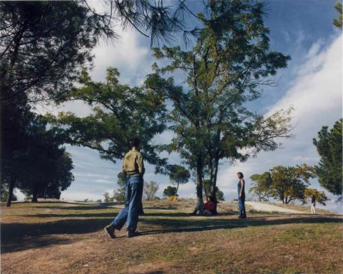 Árbol