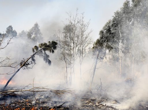 Incendio III