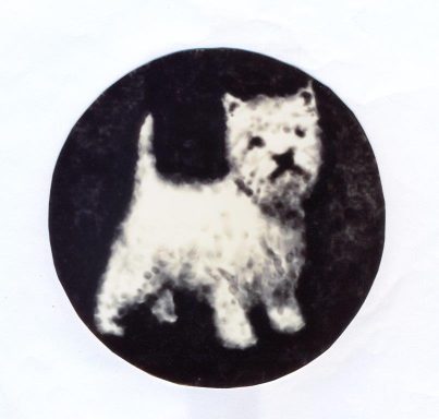 Perro		
