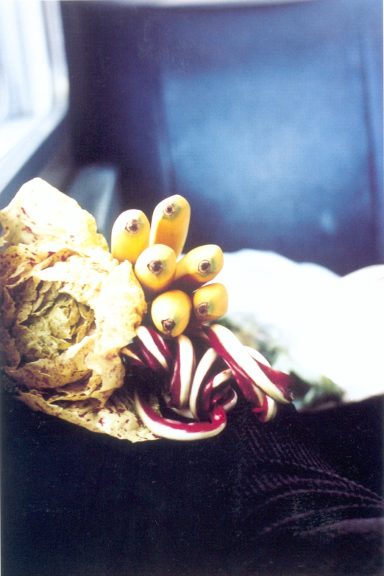 Carciofo II