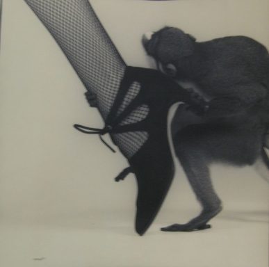 Zapato y monito