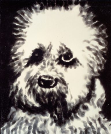 Cabeza de perrito		

